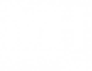 Myers-and-Hayden-White-Logo